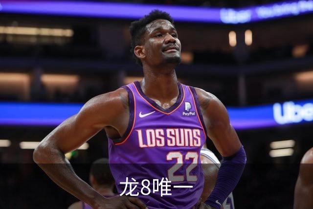 龙8唯一公司简介